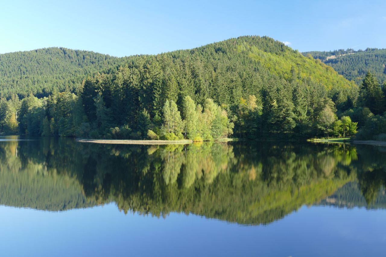 Urlaub mit Hund im Ferienhäuser im Harz