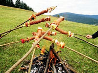 Slowakische Grillwürste